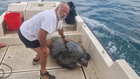 Tortuga verde rescatada por CECAM / Cedida