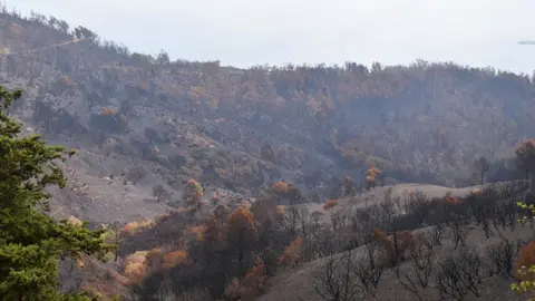 Garc&iacute;a Aldave tras uno de los &uacute;ltimos incendios / Archivo