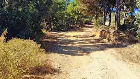 Garc&iacute;a Aldave / Archivo