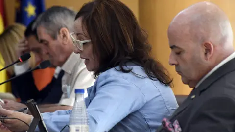 Diputados no adscritos en el Pleno de la Asamblea