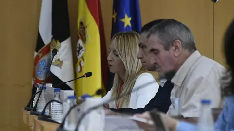 Diputados del PSOE en el Pleno