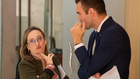 Diputados de Vox