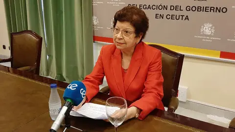 Salvadora Mateos durante una comparecencia en Delegaci&oacute;n del Gobierno / Archivo