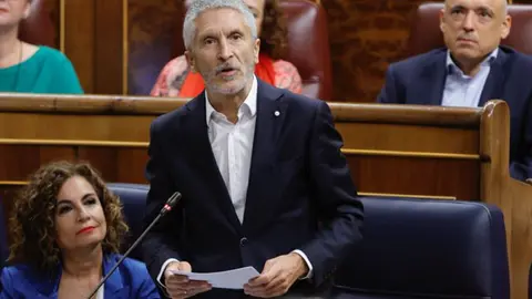 Fernando Grande-Marlaska durante una intervenci&oacute;n en el Congreso / Archvo