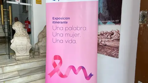 Imagen del cartel anunciador/ Dani Hern&aacute;ndez