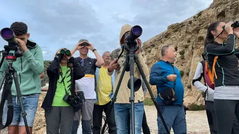 Momento de la observaci&oacute;n este domingo de la migraci&oacute;n de la Pardela Cenicienta