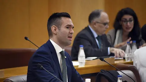 <p> Carlos Verdejo, durante el transcurso de una sesi&oacute;n plenaria </p>