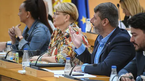 Mohamed Mustafa en sesi&oacute;n plenaria