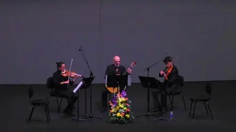 La gitarra acompa&ntilde;ada