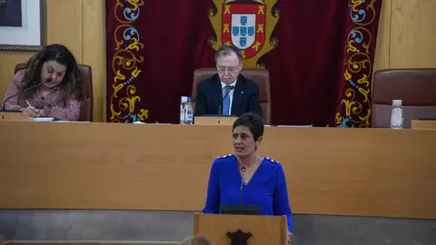 La consejera de Hacienda durante su intervenci&oacute;n en el pleno de este mi&eacute;rcoles / Javier Sakona