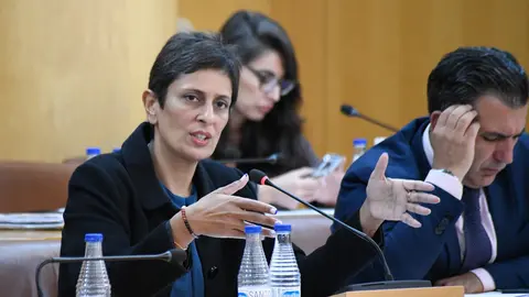 La consejera de Hacienda durante una de las sesiones plenarias