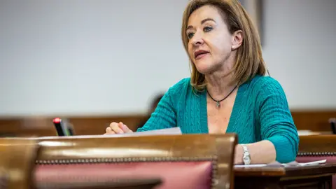 Yolanda Merelo, senadora de Vox