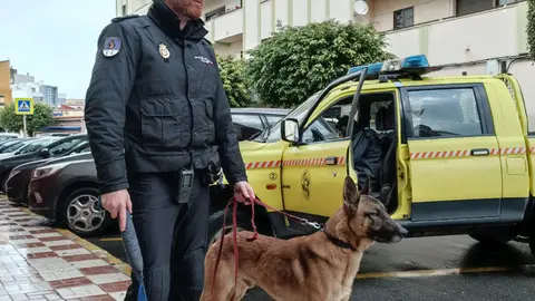 Gu&iacute;a canino / Cedida