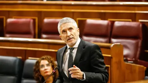 El ministro de Interior comparece en el Congreso. Archivo