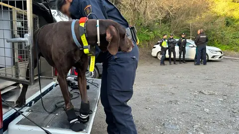 'Beto', el perro del REHU llegado desde Madrid / Mohammed Ettouileb
