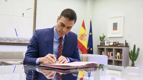 Pedro S&aacute;nchez, presidente del Gobierno / Archivo