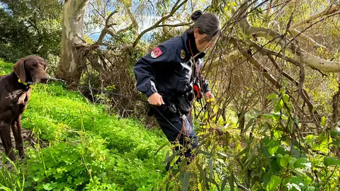 Agentes de la Polic&iacute;a Nacional durante la b&uacute;squeda este jueves