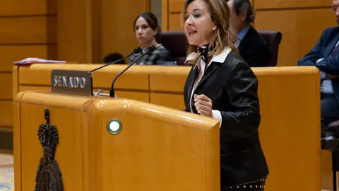Yolanda Merelo, durante su intervenci&oacute;n ante el Senado / VOX