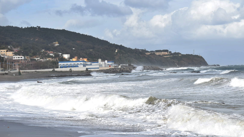 Temporal