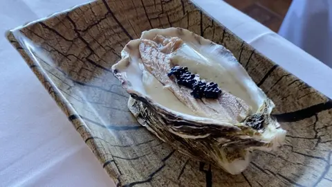 T&uacute;nida