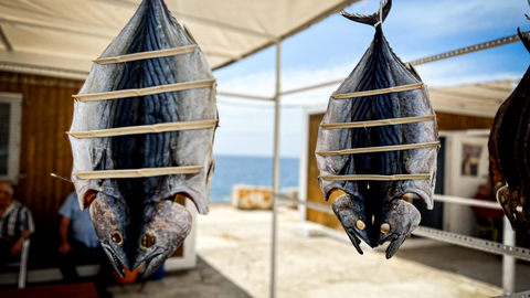 Mercado de Salazones en Juan XXIII