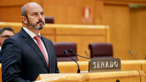Pedro Roll&aacute;n