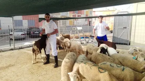 Matadero m&oacute;vil de Loma Colmenar / C&eacute;sar Mart&iacute;n
