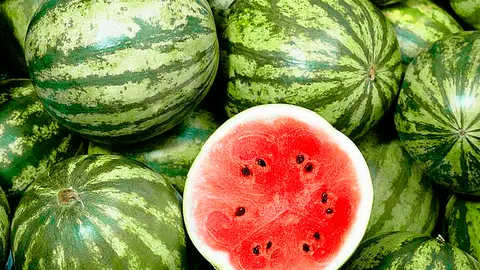Sandias
