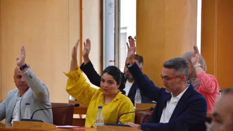 Los socialistas han votado a favor /Alejandro Castillo