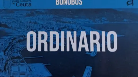 Imagen de un bonob&uacute;s/ Juanjo Coronado