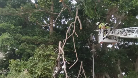 Momento en el que intervienen los bomberos/ Ciudad Aut&oacute;noma