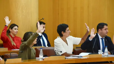  Las votaciones se han tenido que llevar a cabo a mano alzada (A. Castillo) 