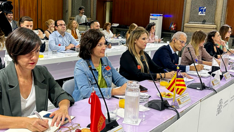 La consejera de Sanidad y Asuntos Sociales durante la reuni&oacute;n de este jueves / Ciudad Aut&oacute;noma de Ceuta
