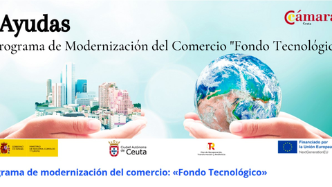 Programa de modernizaci&oacute;n del sector comercial
