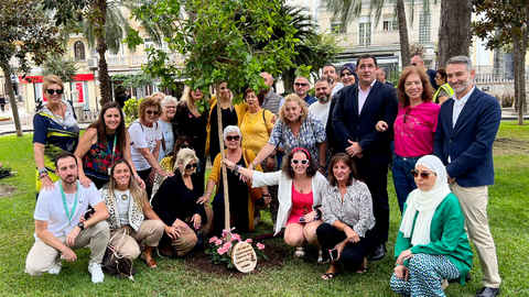arbol c&aacute;ncer 17