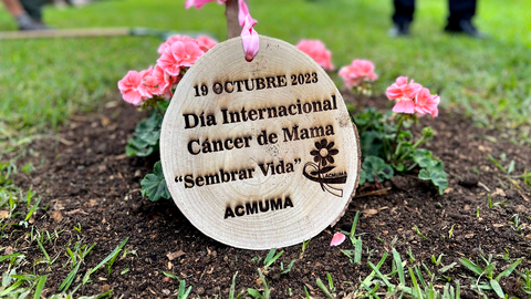 D&iacute;a Mundial contra el c&aacute;ncer de mama / Daniel Hern&aacute;ndez