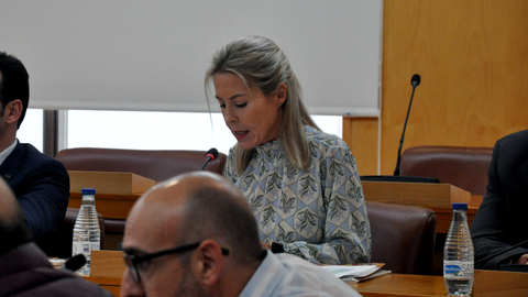 Teresa L&oacute;pez, durante su intervenci&ograve;n en un pleno/ Archivo