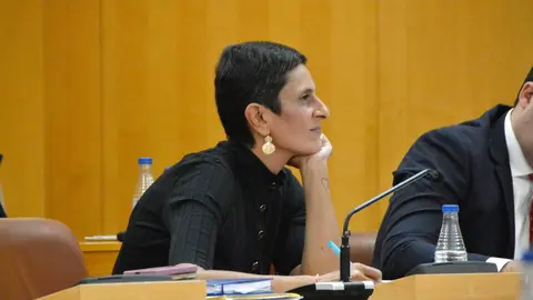 Chandiramani durante el debate de aprobaci&oacute;n del Presupuesto de la Ciudad / Archivo