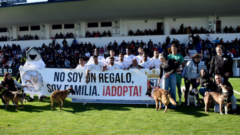 La Protectora de Animales toma el Murube y pide ayuda en las adopciones /Archivo