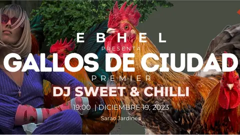 Gallos de Ciudad se presentar&aacute; este martes en nuestra ciudad