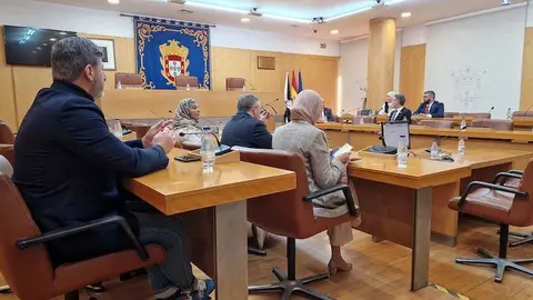  Un momento del pleno extraordinario para elegir las vicepresidencias. /Laura Plaza 