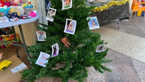 Arbol de fotos a favor de la Protectora/ Dani Hern&aacute;ndez