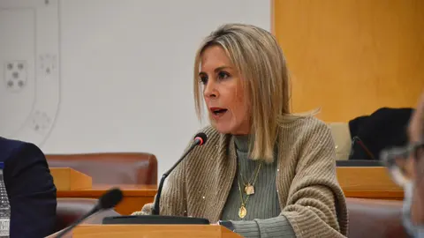Teresa L&oacute;pez, durante su intervenci&oacute;n en una sesi&oacute;n plenaria / Archivo