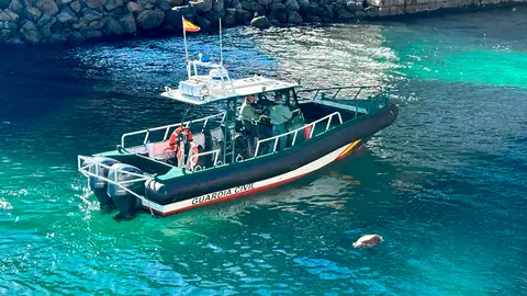 Aparece una tortuga muerta en el Foso de San Felipe / Mohamed Ettouileb