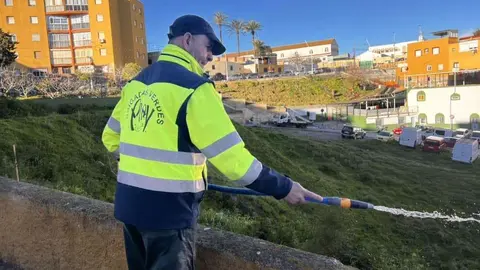 Un operario de Brigadas Verdes realizando su trabajo / Archivo