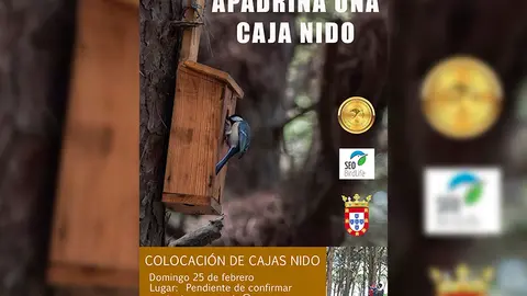 CAJA NIDO