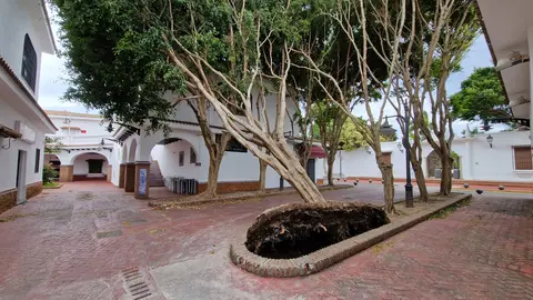 Im&aacute;genes del paso de la borrasca 'Karlotta' por la Ciudad Aut&oacute;noma de Ceuta / Temporal