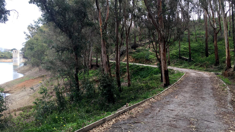 Camino del embalse del Renegado 