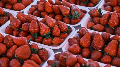 Fresas/ Archivo