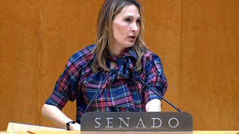 La senadora Cristina D&iacute;az, del PP, durante su intervenci&oacute;n de este mi&eacute;rcoles en el Senado / Laura Ortiz
